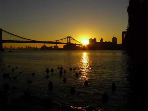 NYC_2012-11-23 07-20-47_P1070641